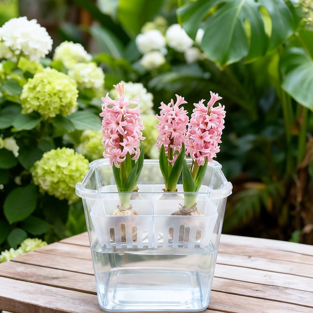 Hydroponic Vase For Tulip Lily - огляд і ціна Vase Decor