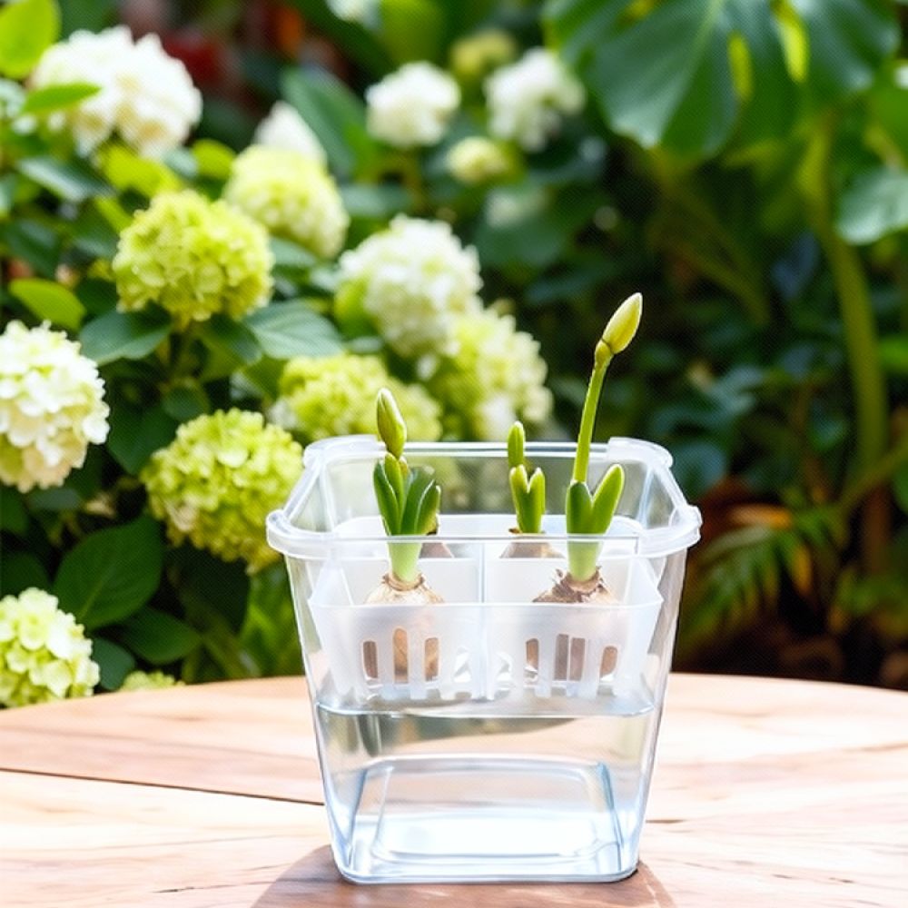 Hydroponic Vase For Tulip Lily - огляд і ціна Vase Decor
